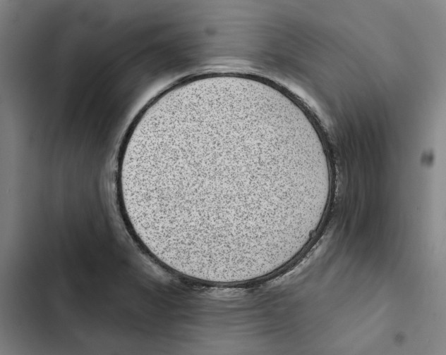 X0000102361325200808291215