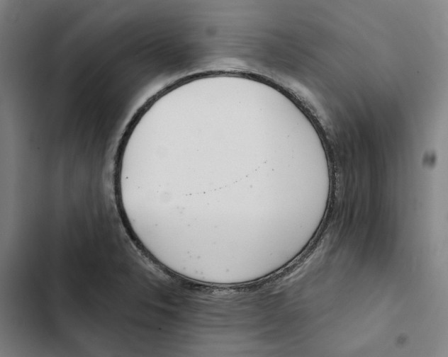 X0000102361326200808291215