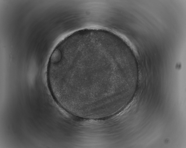 X0000102361327200808291215