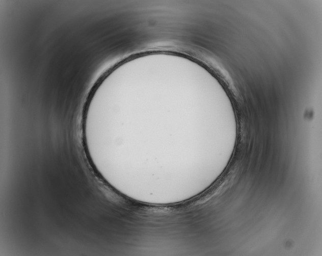 X0000102361328200808291215