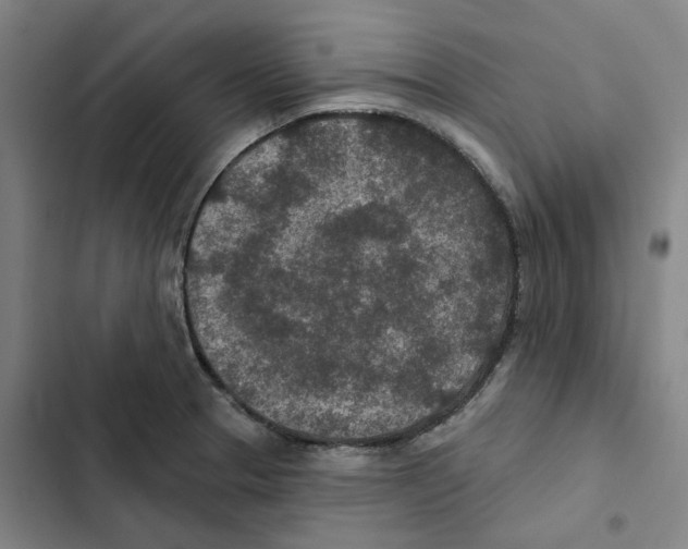 X0000102361329200808291216