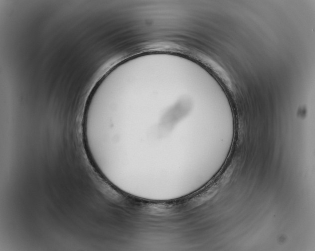 X0000102361330200808291216