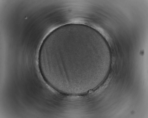 X0000102361331200808291216