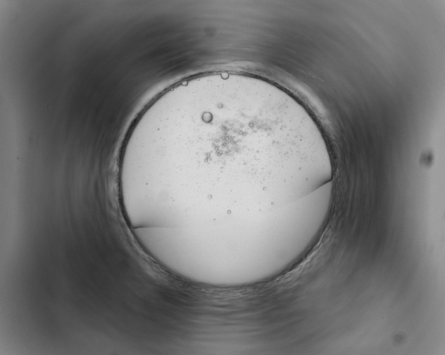 X0000102361332200808291216