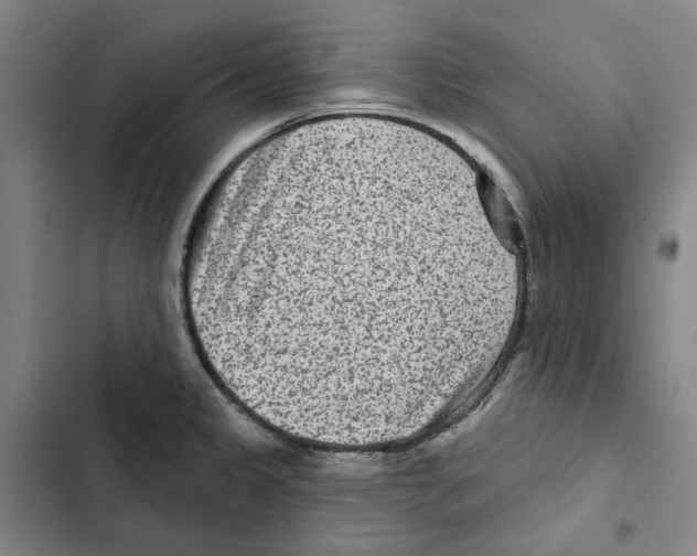 X0000102361333200808291216