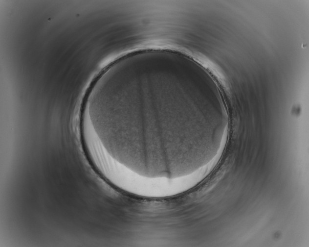 X0000102361334200808291216