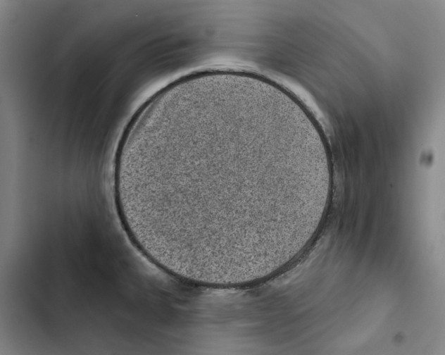 X0000102361335200808291216