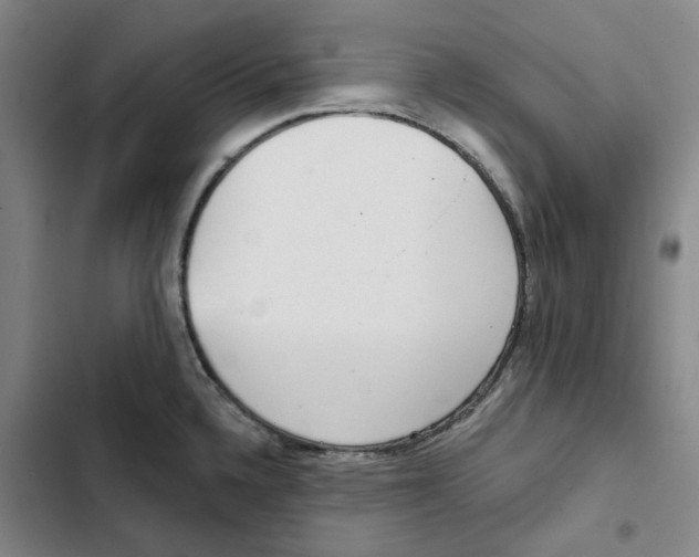 X0000102361336200808291216