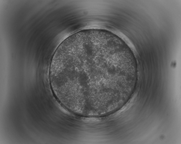 X0000102361337200808291216