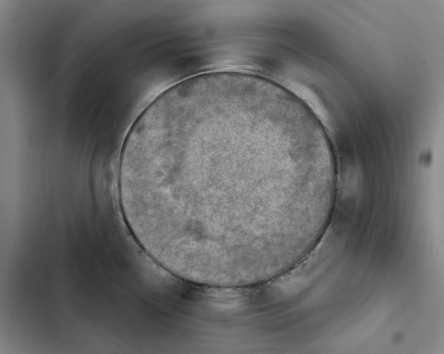 X0000102361338200808291216