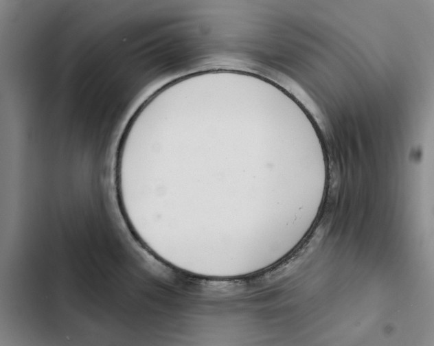 X0000102361339200808291216