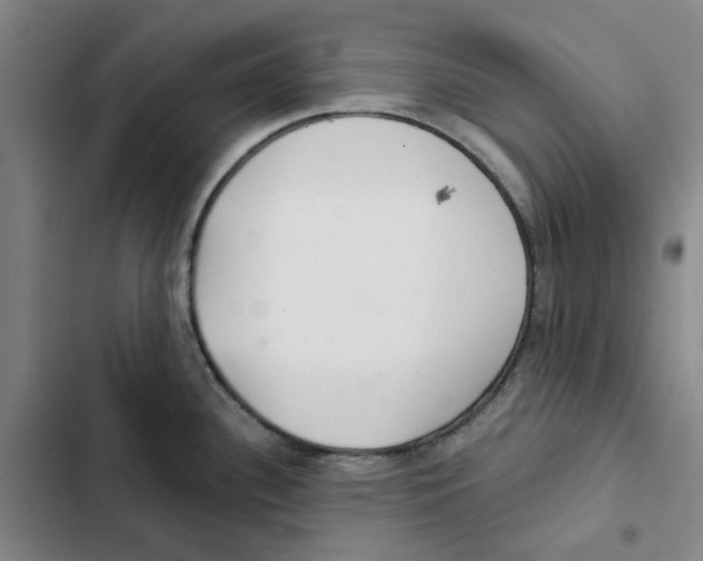 X0000102361340200808291216