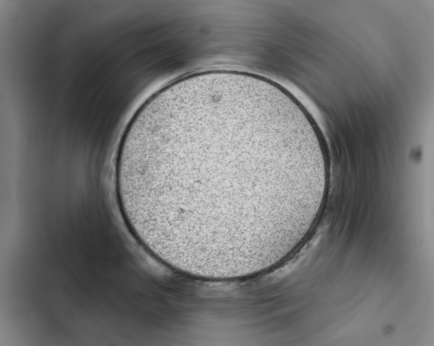 X0000102361341200808291216