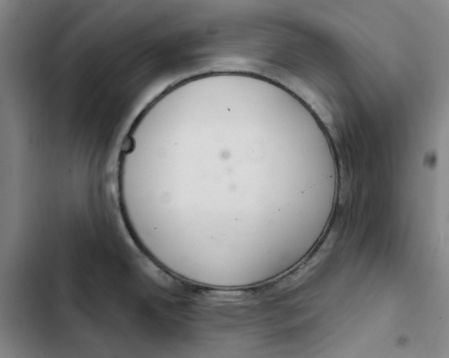 X0000102361342200808291216