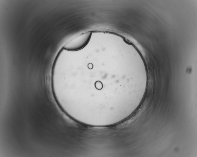 X0000102361343200808291216