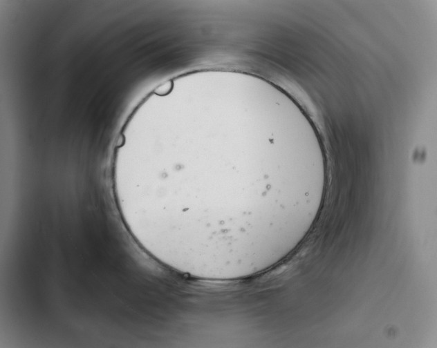 X0000102361344200808291216