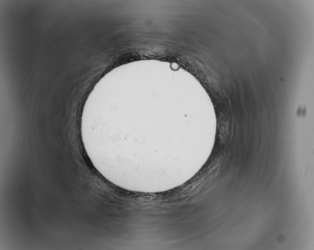 X0000102361345200808291215