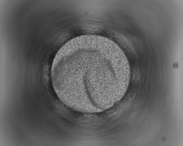 X0000102361346200808291215