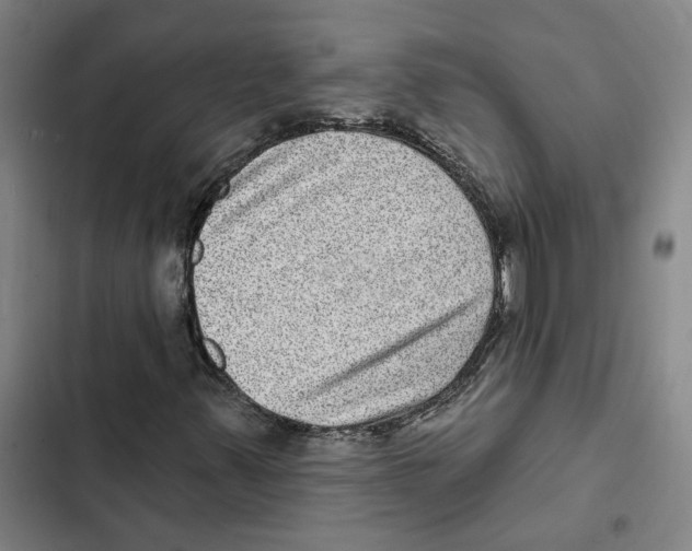 X0000102361347200808291215