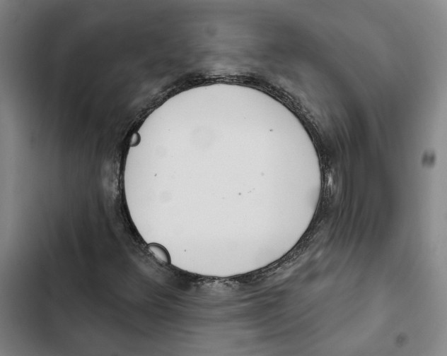 X0000102361348200808291215