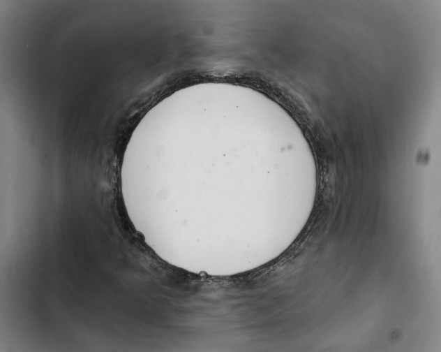 X0000102361349200808291215