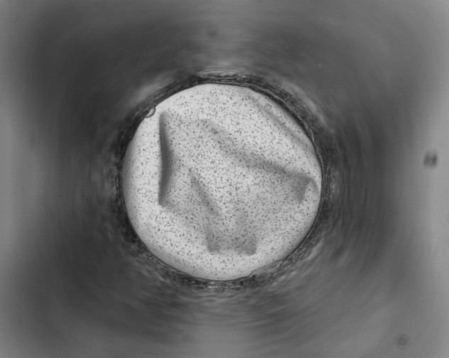 X0000102361350200808291215