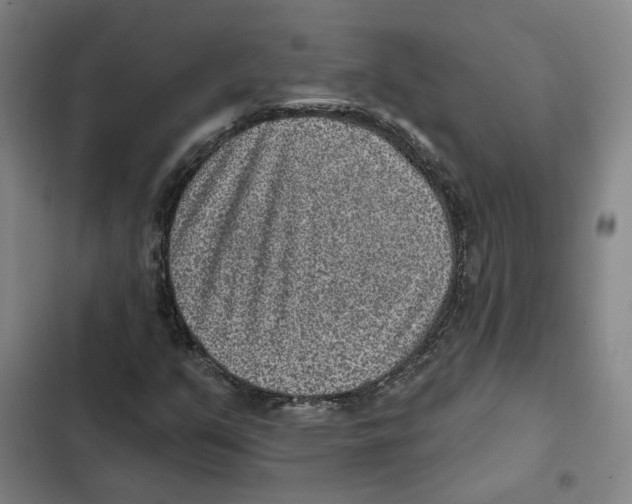 X0000102361351200808291215