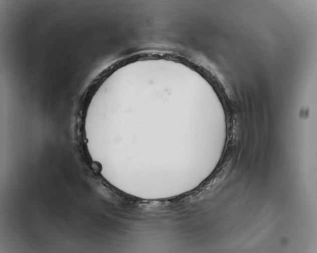 X0000102361352200808291215