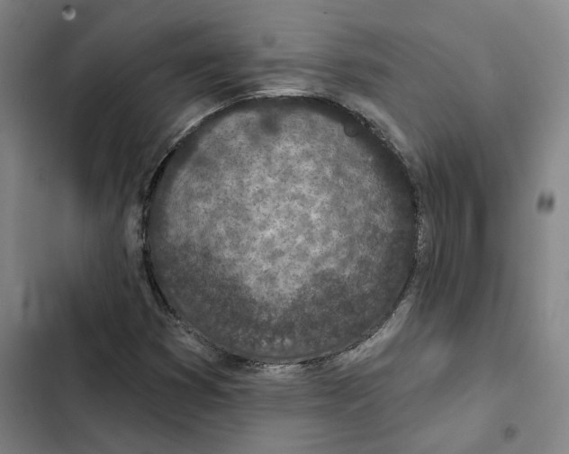 X0000102361353200808291215