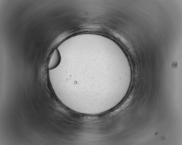 X0000102361354200808291215