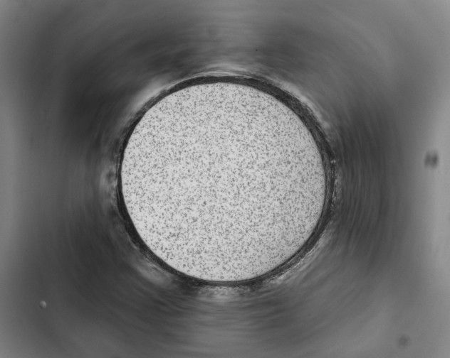 X0000102361355200808291215