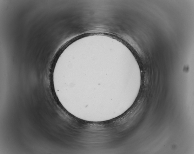 X0000102361356200808291215