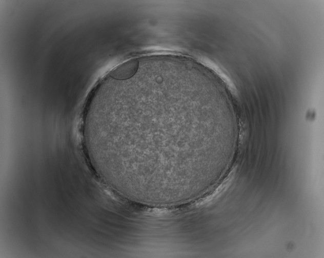 X0000102361357200808291215