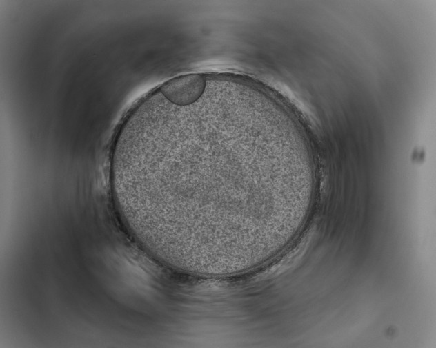 X0000102361358200808291215