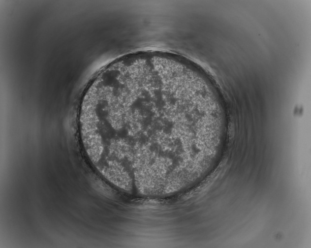 X0000102361359200808291215