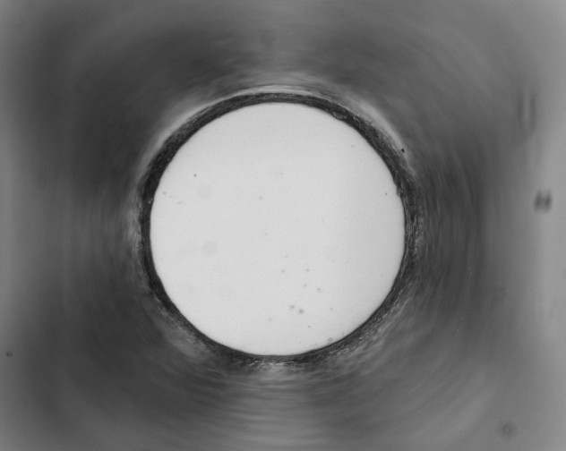 X0000102361360200808291215