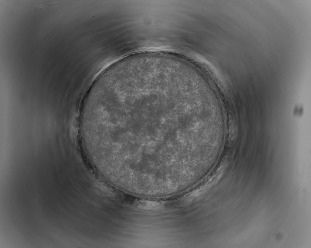 X0000102361361200808291215