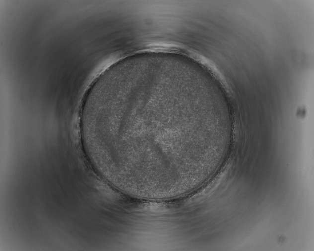 X0000102361362200808291215