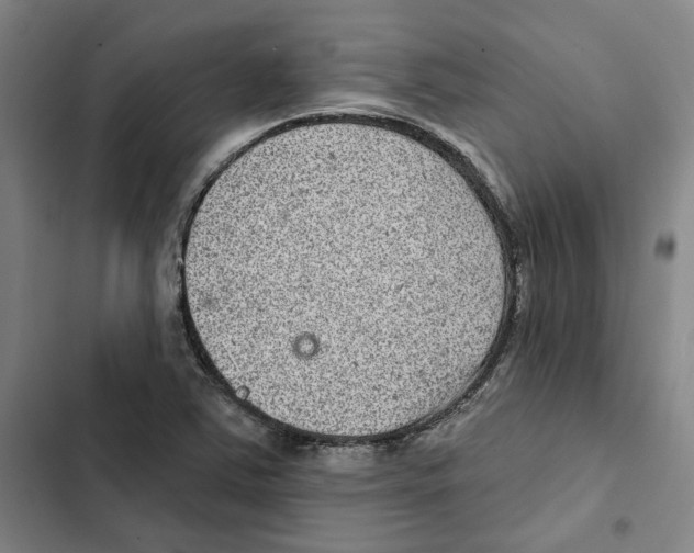 X0000102361363200808291215