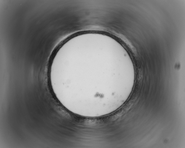 X0000102361364200808291215