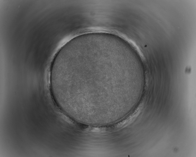 X0000102361365200808291215