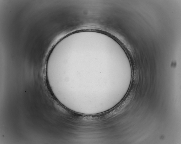 X0000102361366200808291215