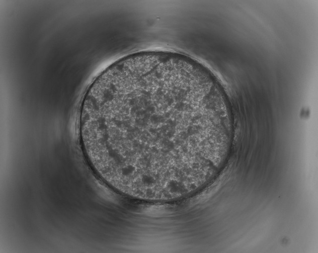 X0000102361367200808291215