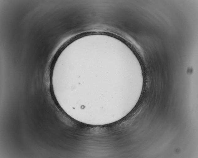 X0000102361368200808291215