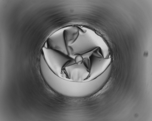 X0000102361369200808291215