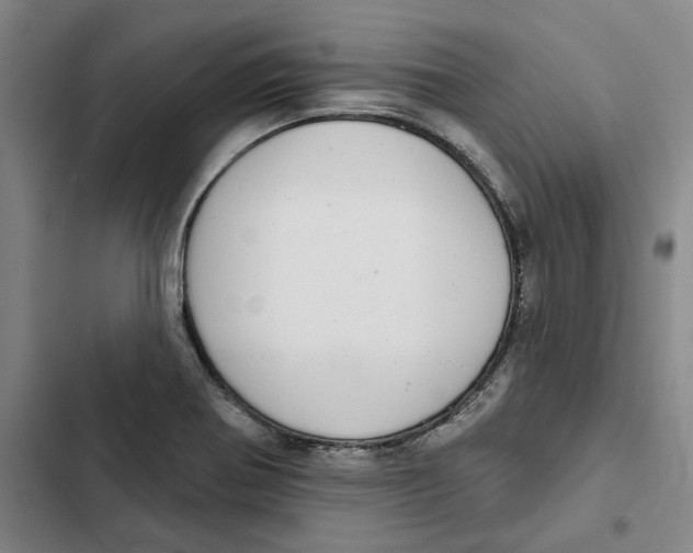 X0000102361370200808291215