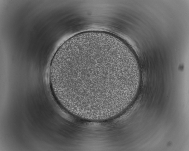 X0000102361371200808291215