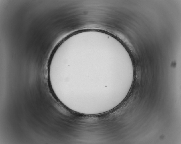 X0000102361372200808291215