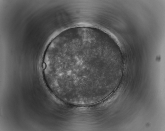 X0000102361373200808291215