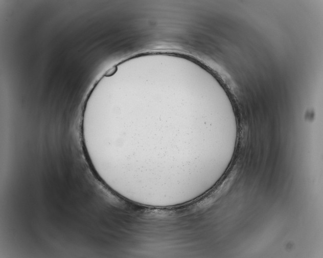 X0000102361374200808291215